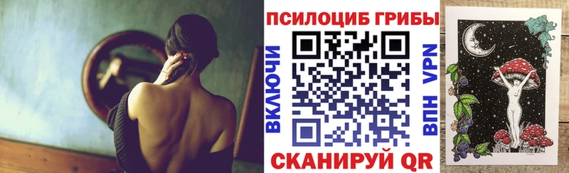 Псилоцибиновые грибы Cubensis  Приморско-Ахтарск 